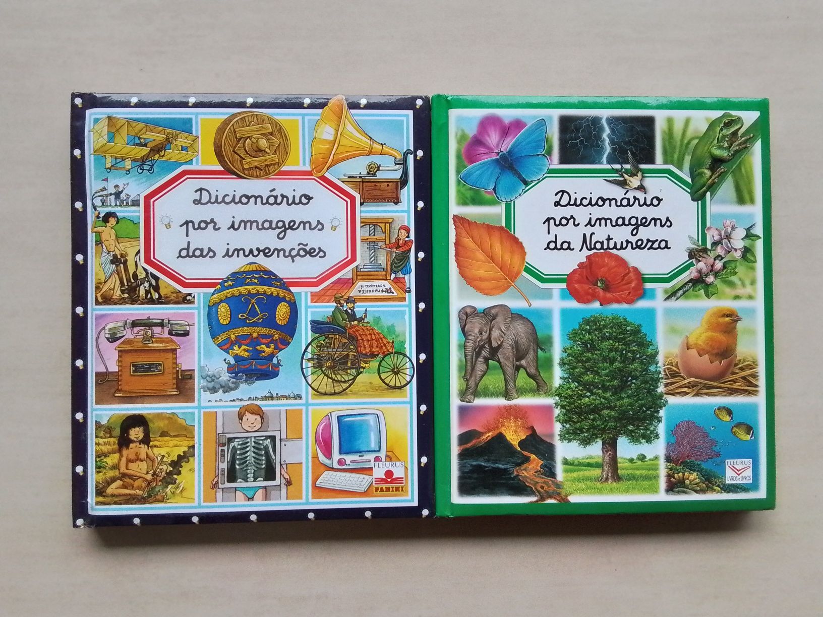 Dicionários por imagens