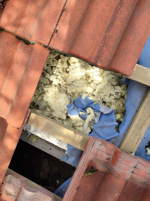 Ocieplenie celulozą ,naprawy po kunach , zabudowy g-k , termowizja