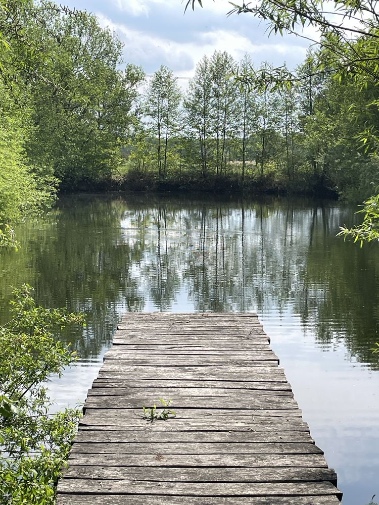 Dzialka ze stawem , cisza, spokoj i wlasna plaża. 40 min od Warszawy
