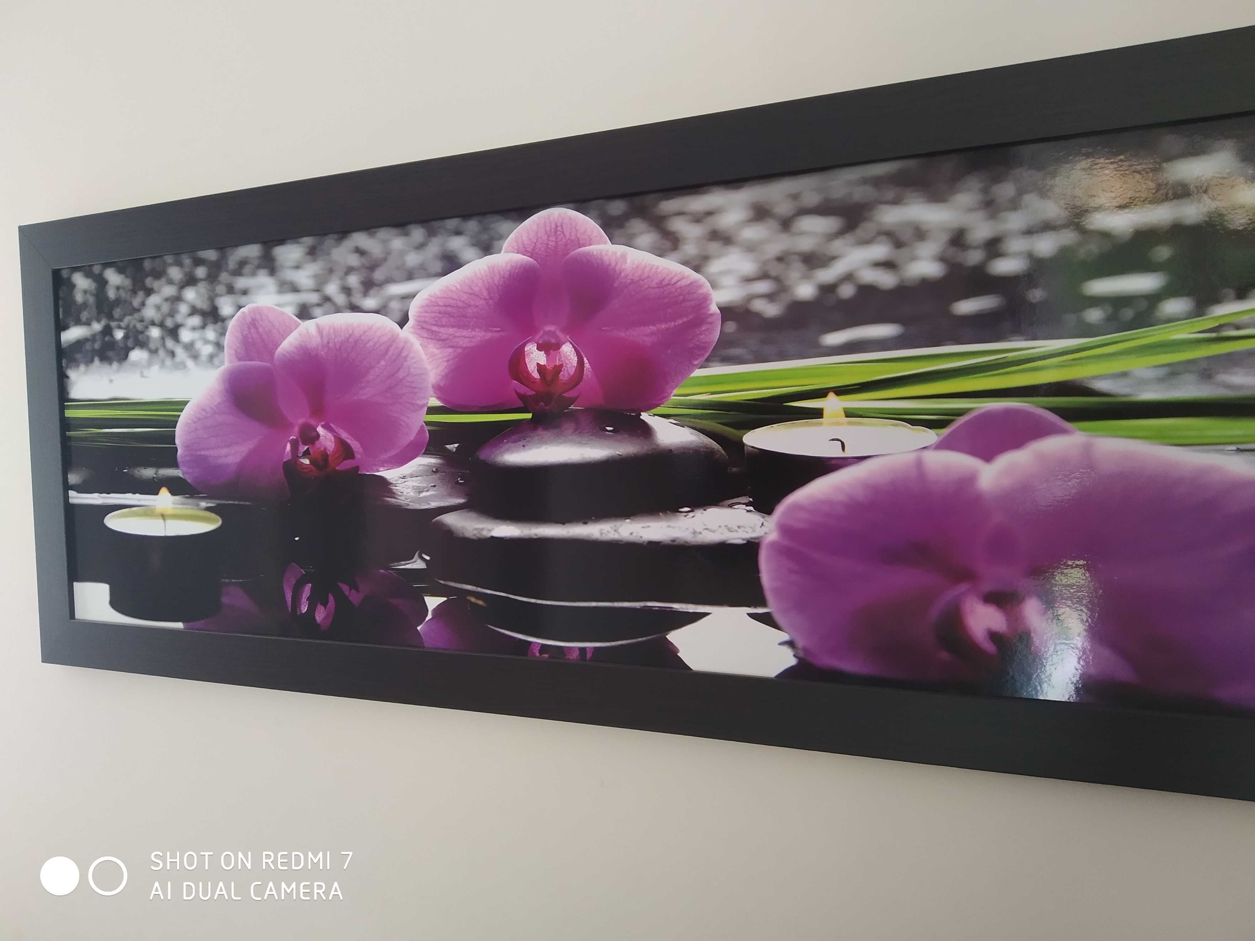Foto-obraz, fioletowe orchidee, czarne kamienie