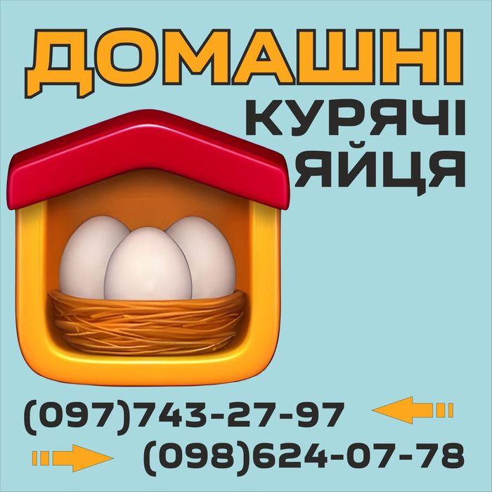 Яйце куряче,  домашнє, свіже.