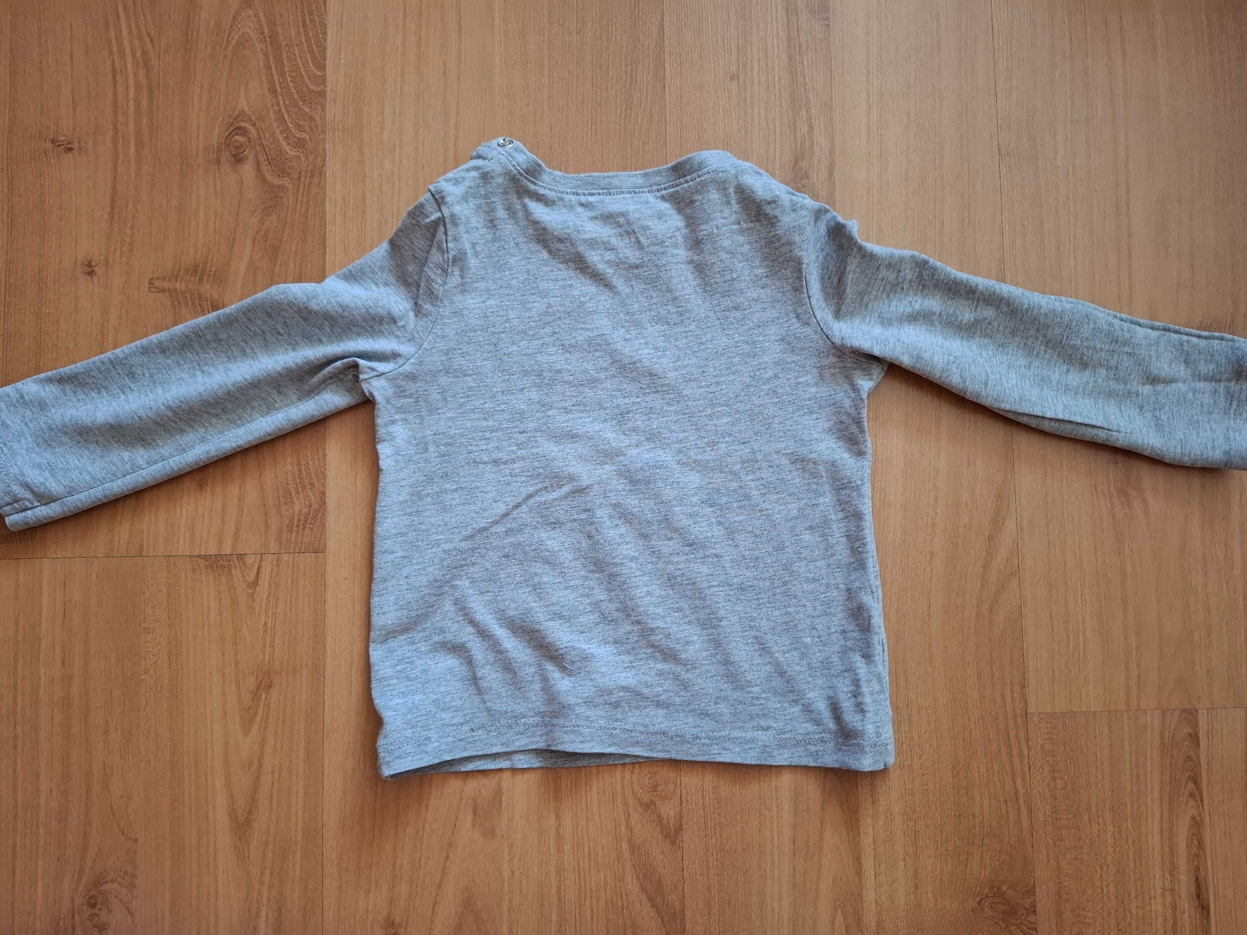 Bluzka in extenso 92 potworki