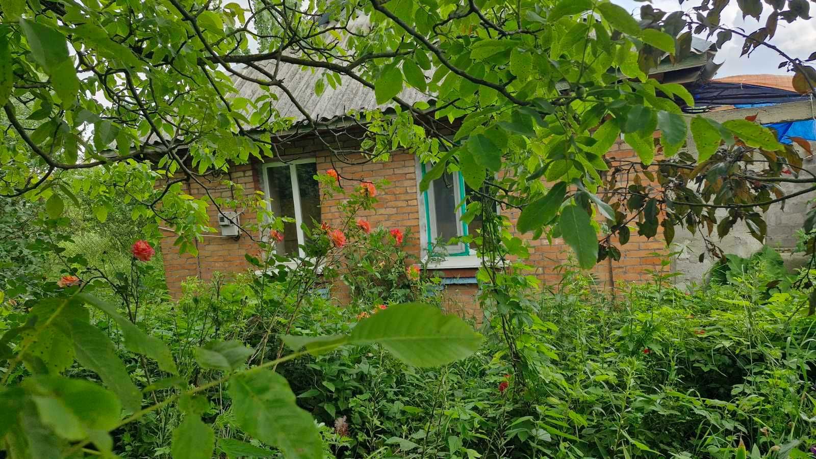 Продам будинок. с. Пашківці