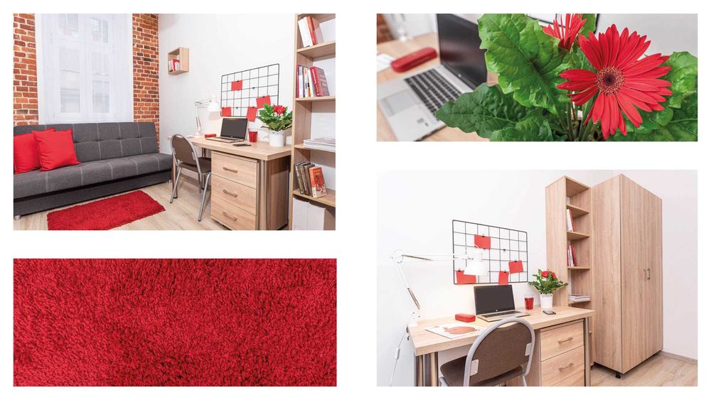 Żeromskiego 18 UMED, UŁ, PŁ Ak. Muz. ZADBANE, CZYSTE od Właściciela