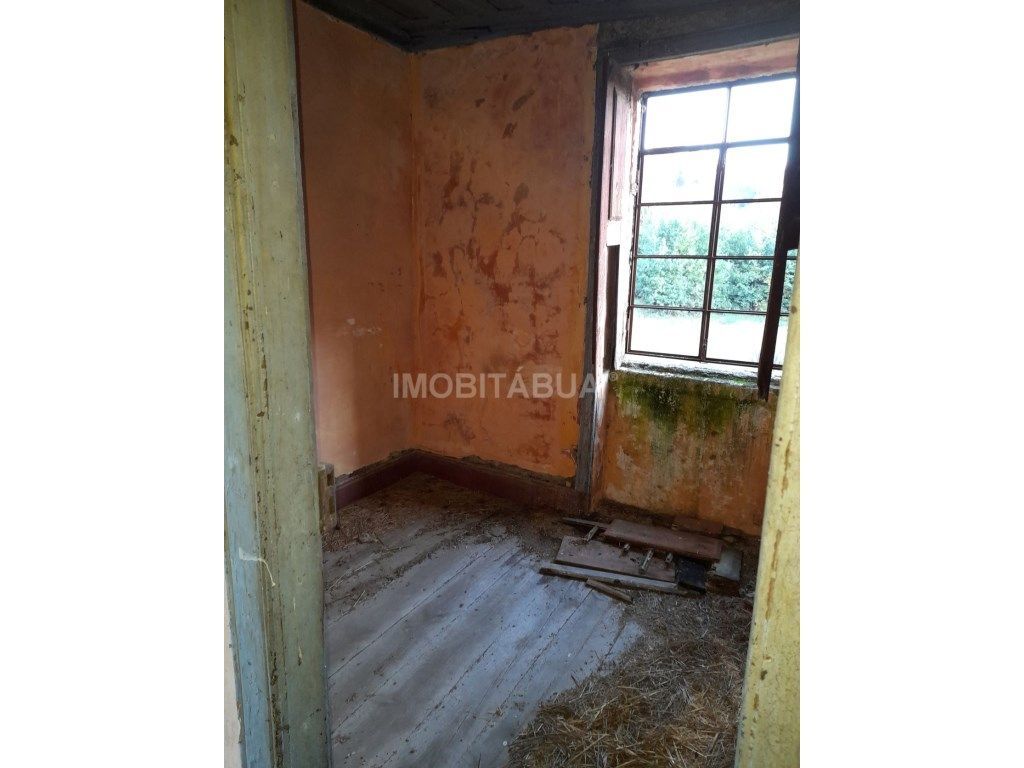 Quinta de Mirtilos com mais de 3 Hectares, localizada perto de Tondela