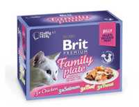 Влажный корм для котов Brit Cat Family и Plate Gravy срок 10.24