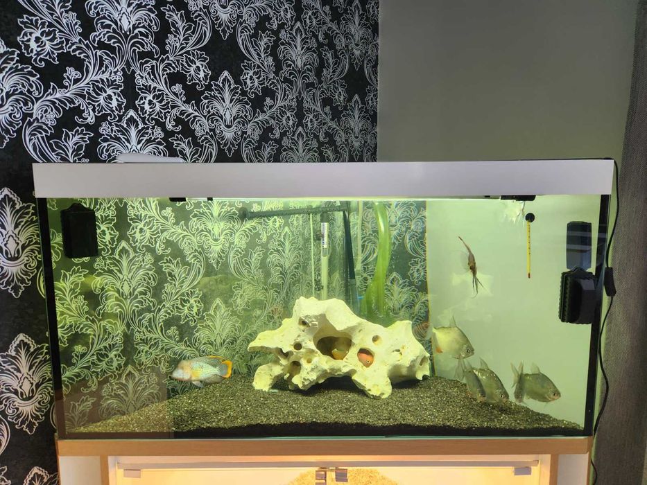 Акваріум на 200 літрів з тумбою самовивіз