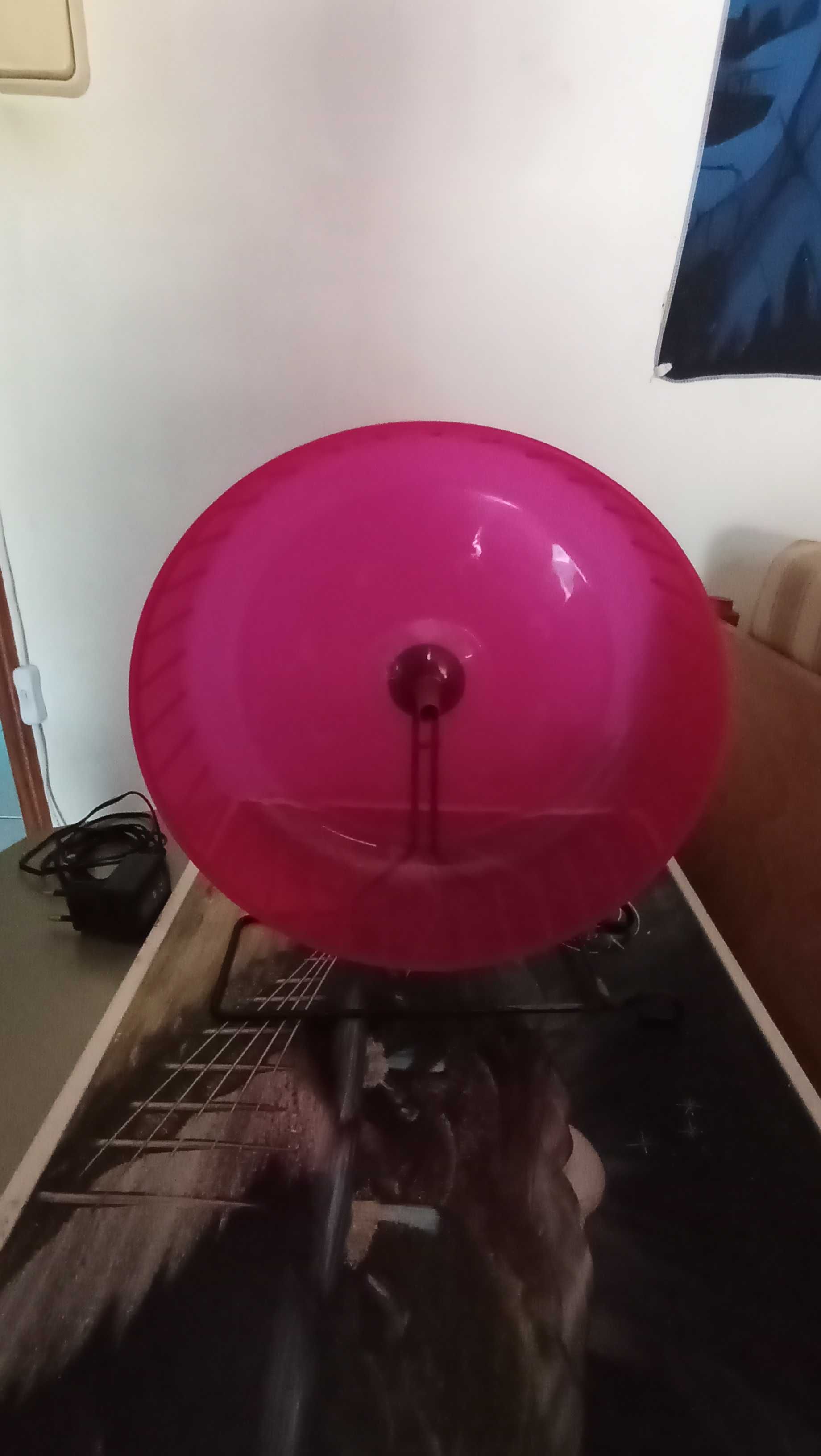 Roda para Hamster