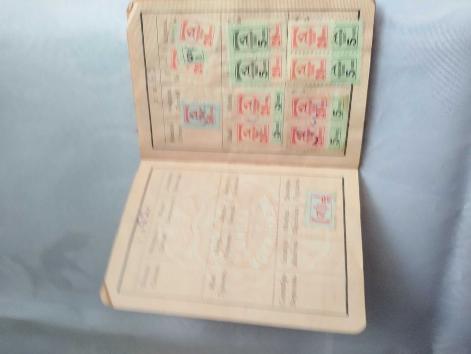 Профсоюзный и парт билеты