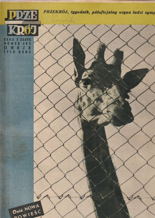 Przekrój 11 maja 1958 Super prezent na urodziny