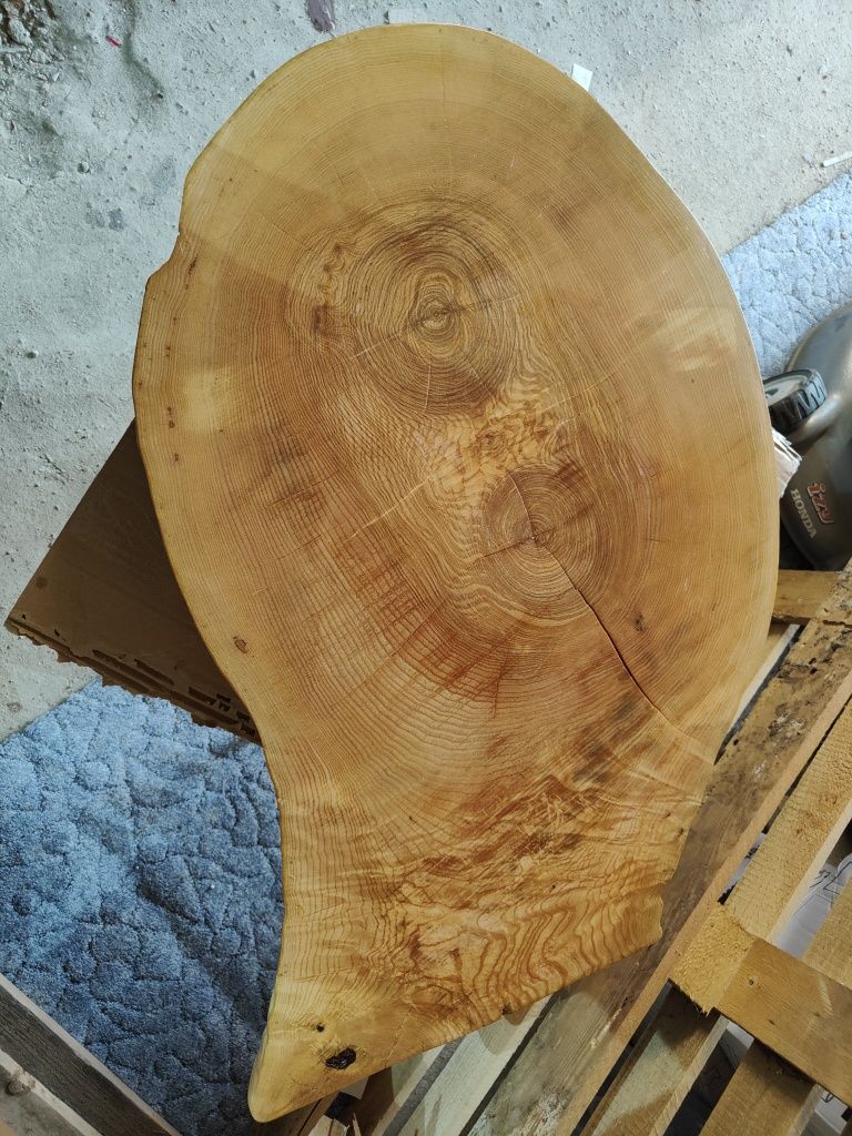 Plaster drewna jesion