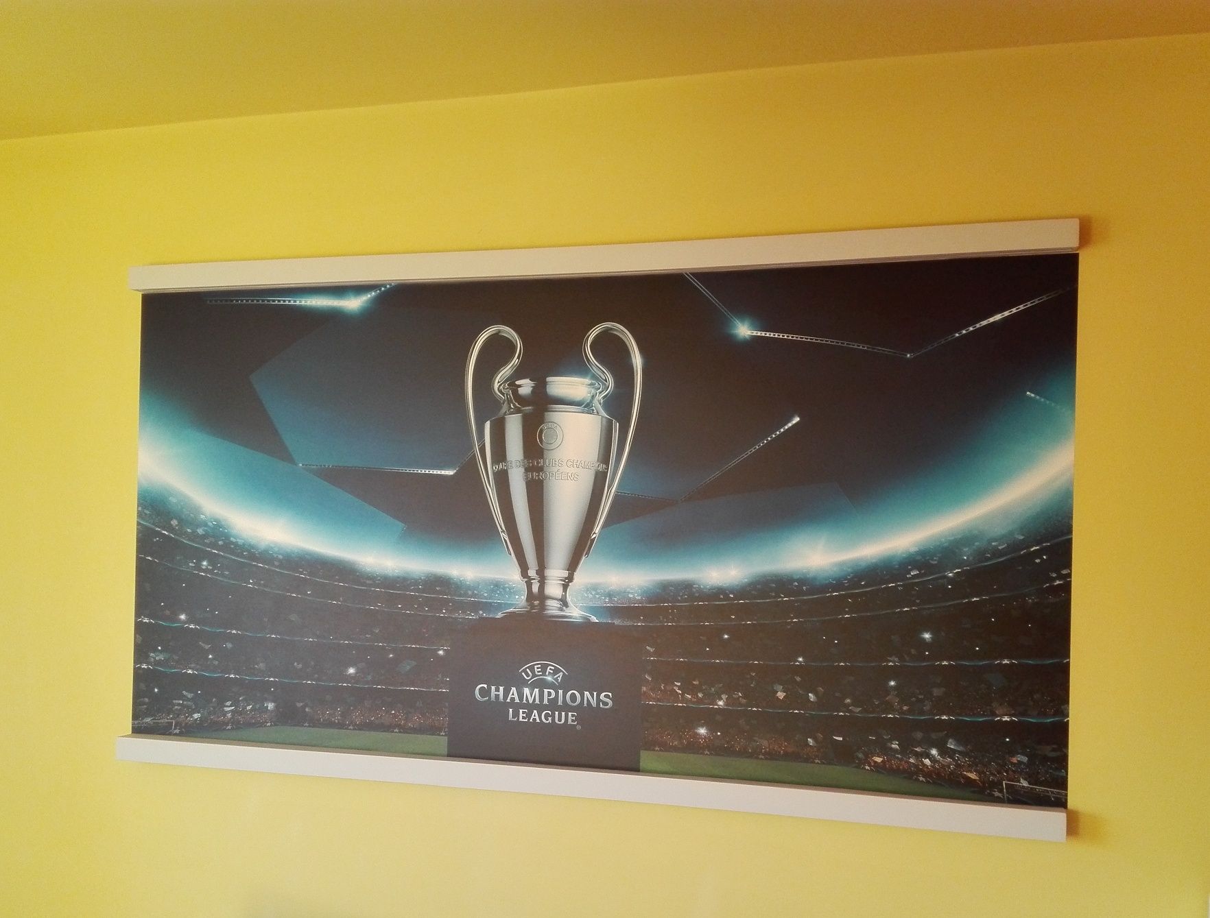 Tapeta na flizelinie do pokoju dziecka Liga mistrzów puchar
