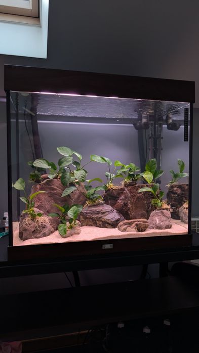 Akwarium Juwel Lido 200