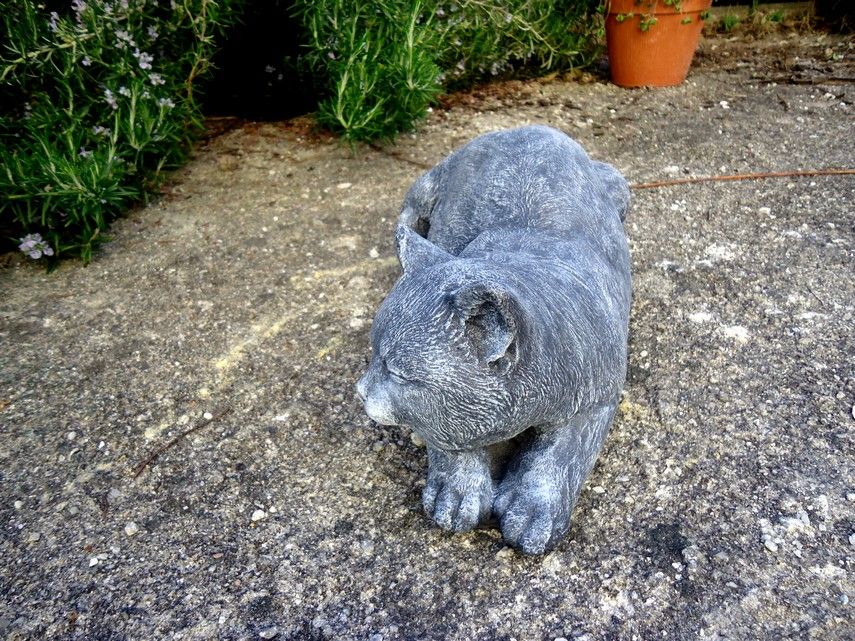 Gato deitado - decoração casa & jardim