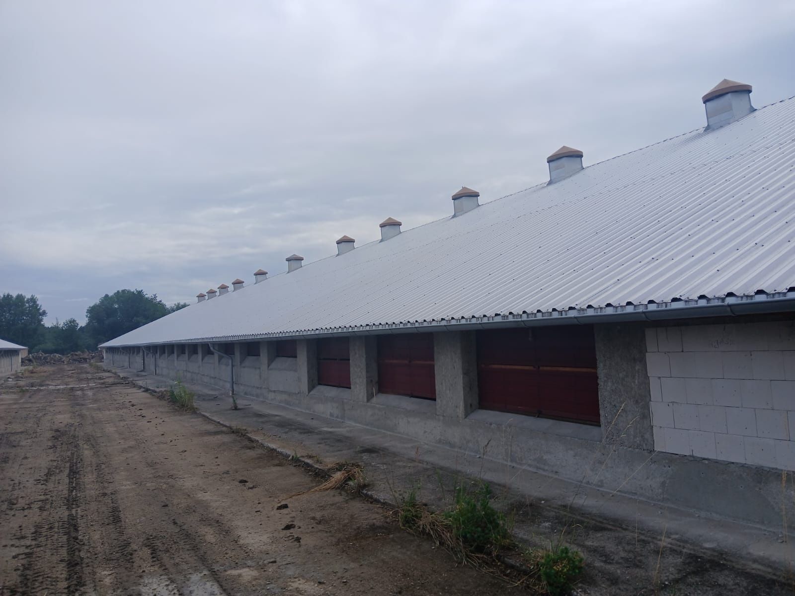 Blacha trapezowa z antykondesatem 4 tyś m2