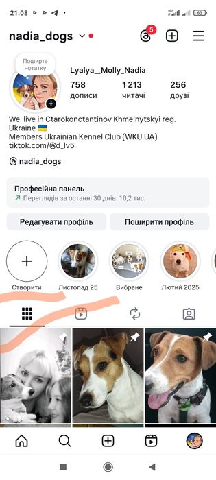 Дівчинка Джек Рассел тер'єр ККУ