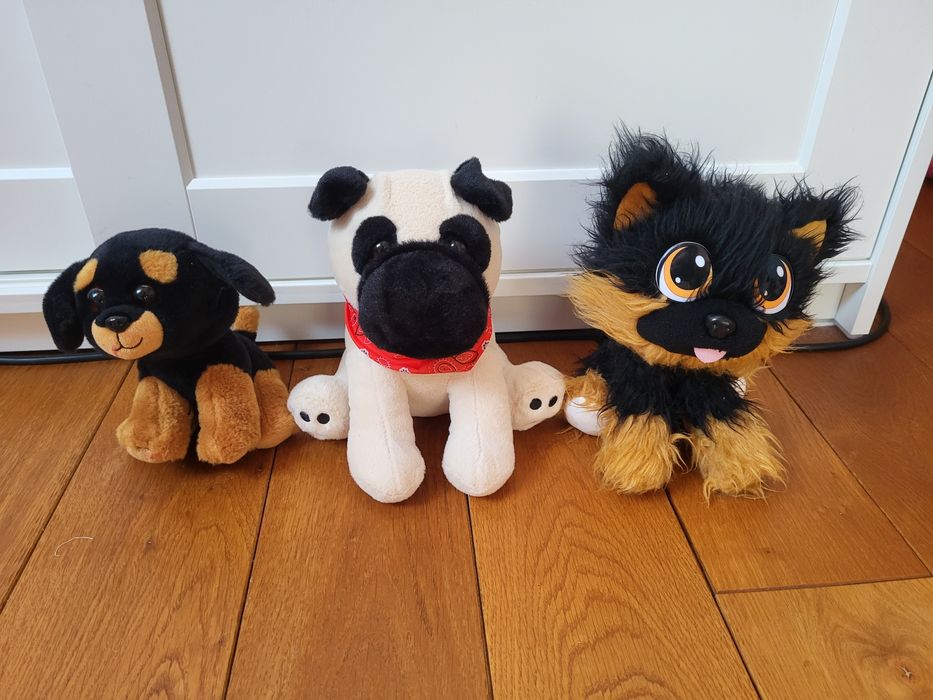 zestaw 3 pluszowych piesków, pieski pluszaki Ty, Pepco