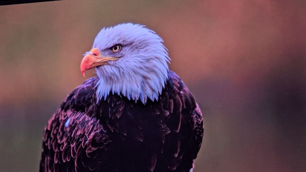 Проектор jmgo n1 ultra 4k triple laser