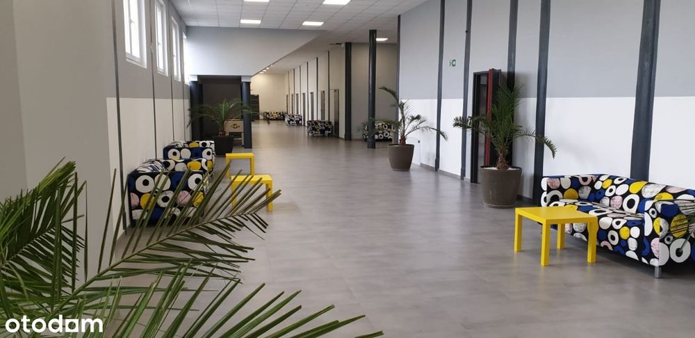 Nieruchomość Idealna Pod Hotel, Hostel, Mieszkania, Biura, Usługi