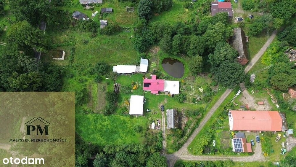 Dom z budynkami gosp., stodołą, sadem i stawem!