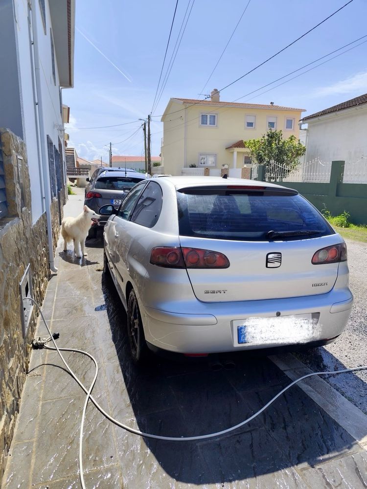 Ibiza 6l 1.9tdi Sport