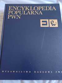 Encyklopedia Popularna PWN + płyta