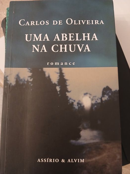 Uma abelha na chuva- Carlos de Oliveira