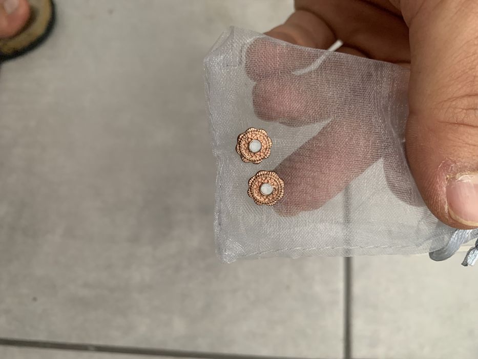 Brincos aço inoxidavel inox