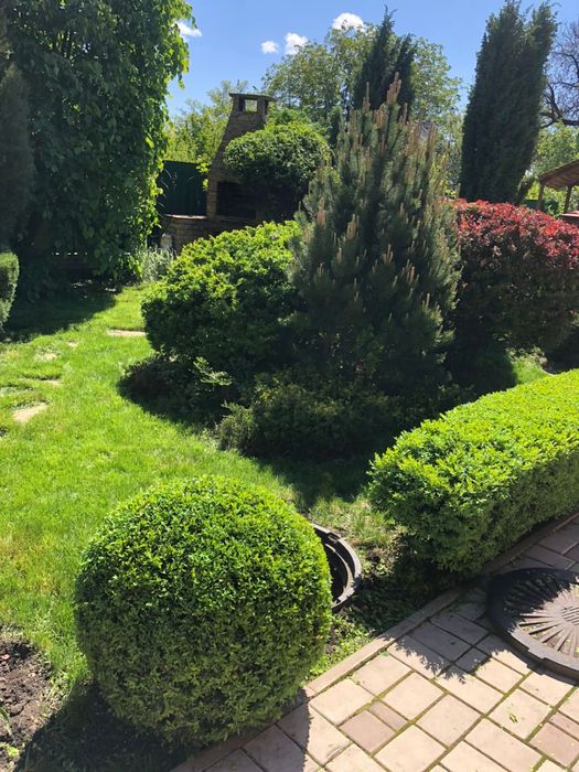 Ландшафтний дизайн догляд за зеленими насадженями