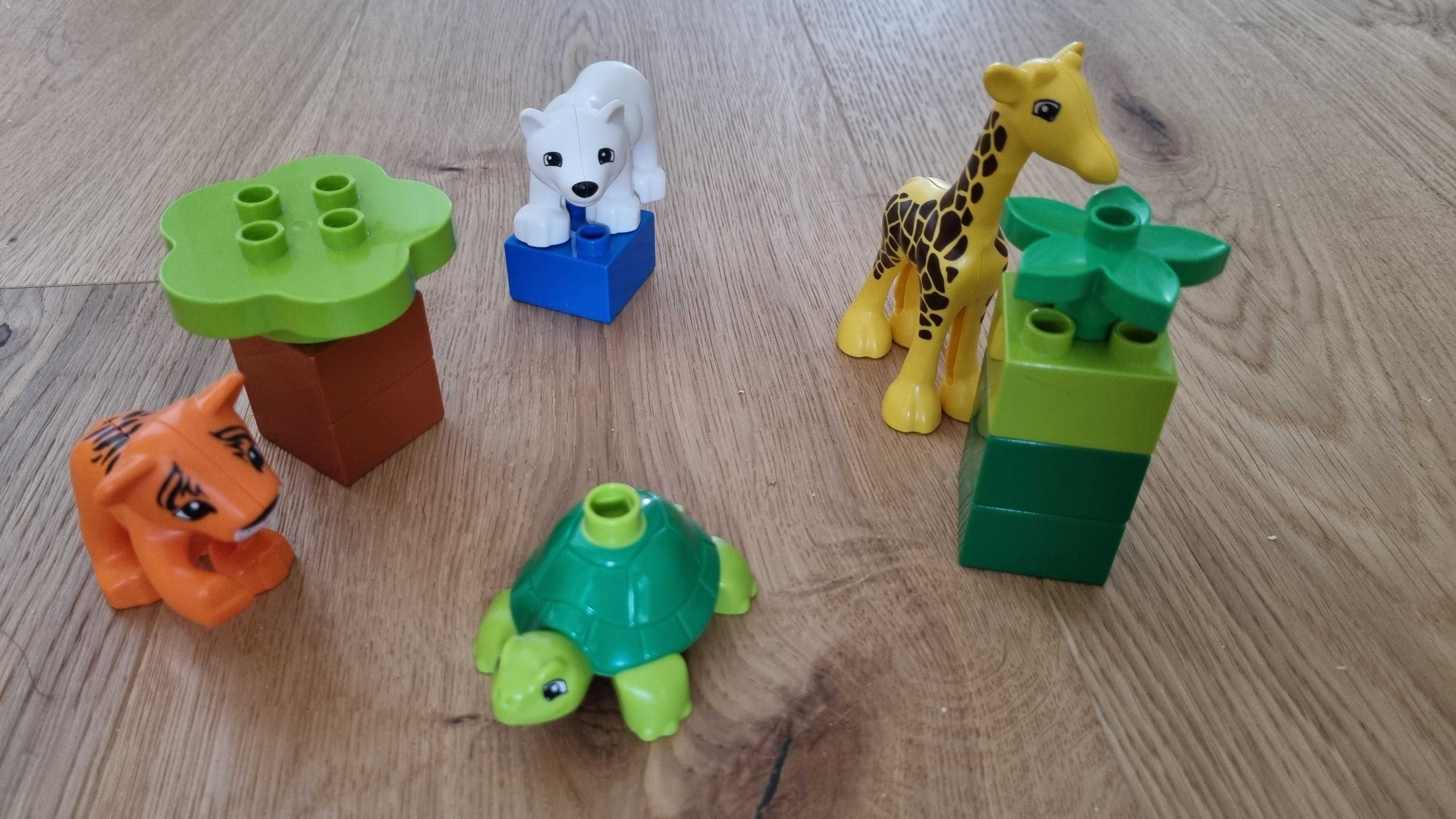 LEGO DUPLO Małe Zwierzątka 10801