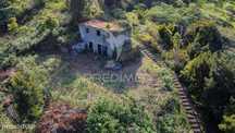 Terreno misto em  São Jorge -Ilha da Madeira