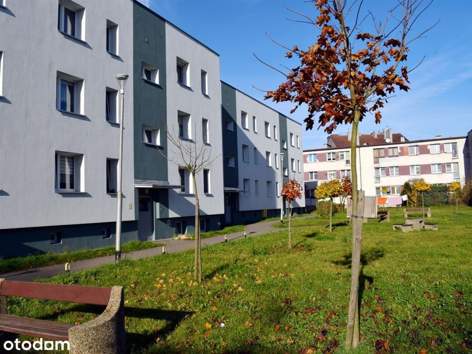 Mieszkanie - Złocieniec