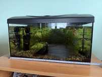 Akwarium 60x30x30