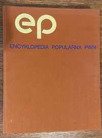 Encyklopedia PWN lata 80-te. Stan bardzo dobry