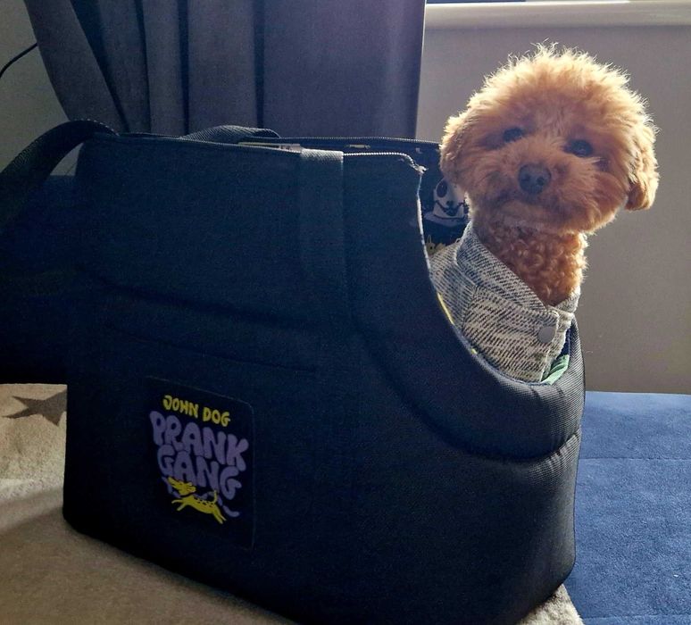 Torba dla psa John Dog Prank Gang czarny