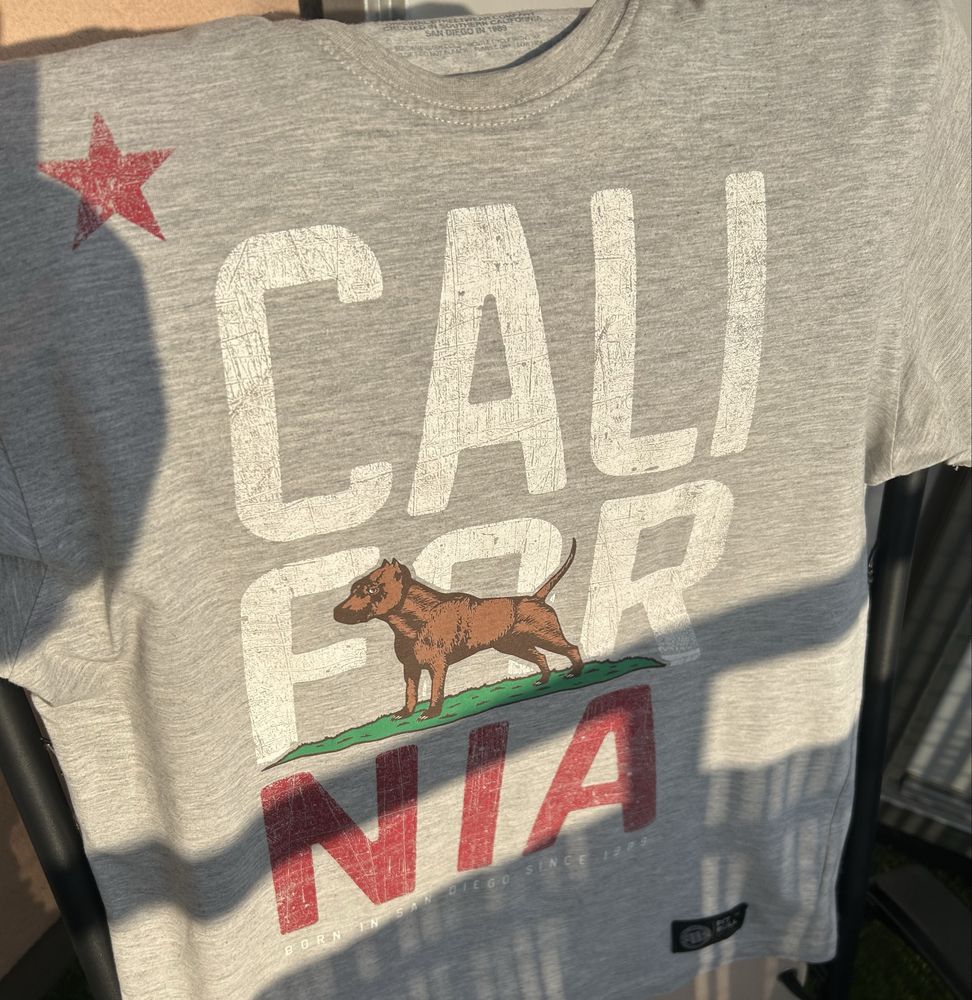 Koszulka PITBULL,  T- shirt szara