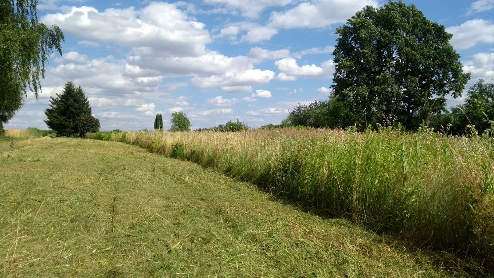 Koszenie nieużytków kosiarka bijakową, kosą spalinową, mulczerem