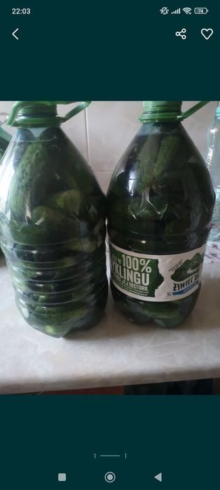 Ogórki kiszone cena za 2x5l