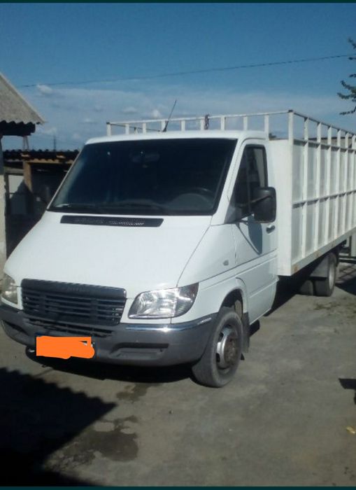 Перевезення тварин, ВРХ, коні, свині