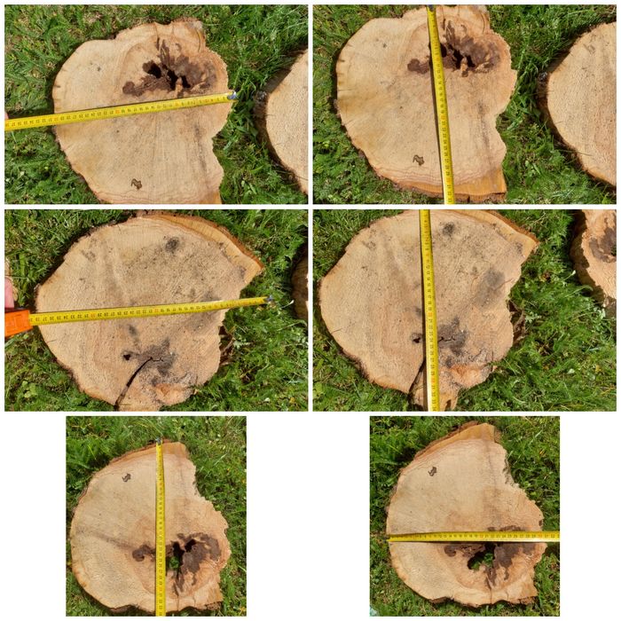 Plastry drewniane jabłoń