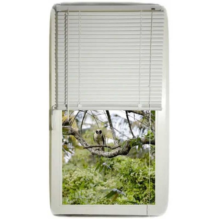 Żaluzja PVC   80x155 x2szt