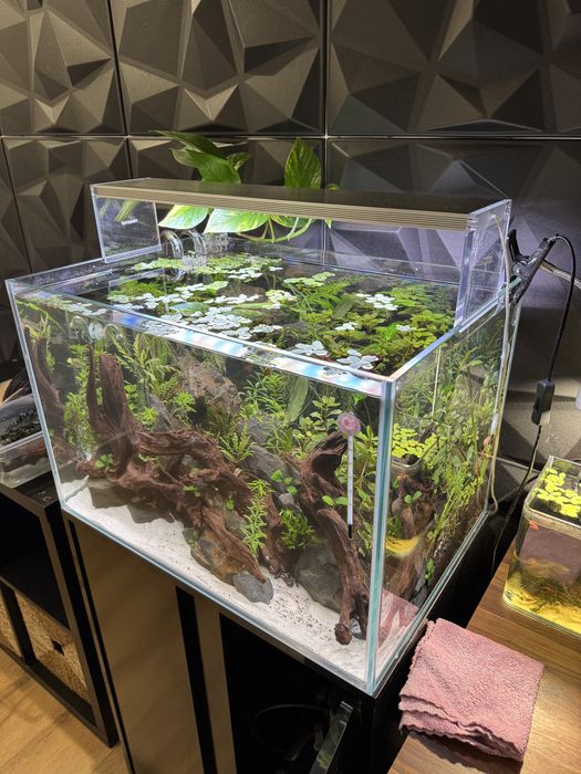 Aquario 60x40x40 8mm extra claro