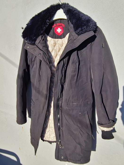 Carpa wellensteyn stravanger