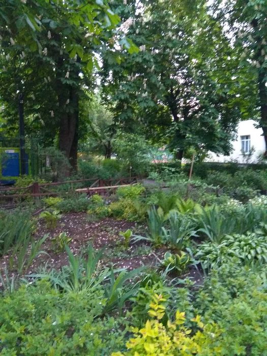Продається ЕКСКЛЮЗИВНА 3кімнатна СТАЛІНКА в самому центрі міста