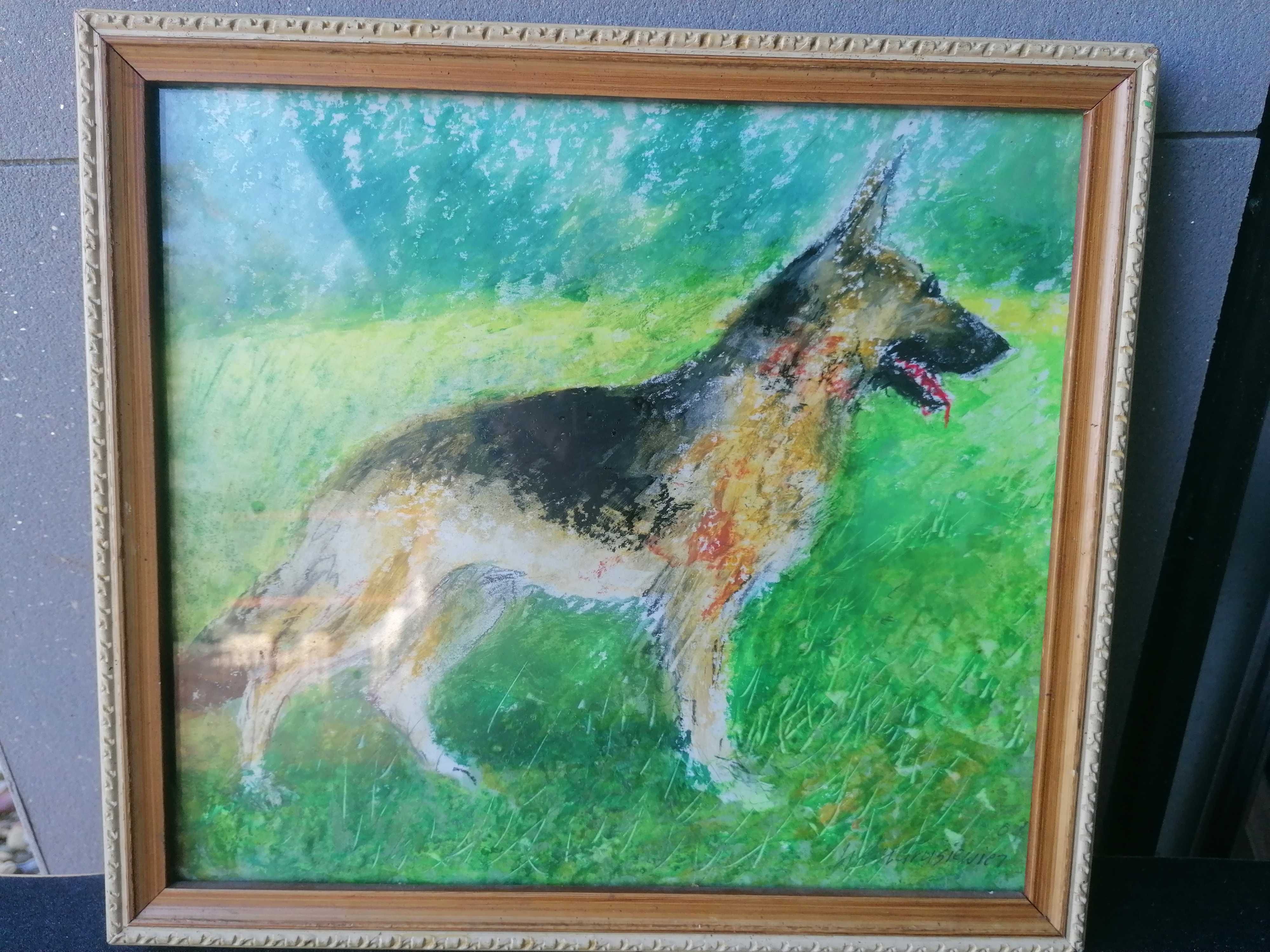 Obraz Pastel Owczarek Niemiecki Andrusiewicz-Tarnów Malarz