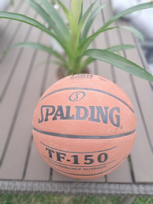 Piłka do koszykówki spalding tf-150