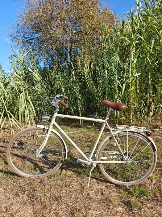 Bicicleta Alpina Condor 28