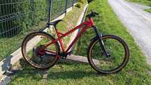 Dartmoor primal pro