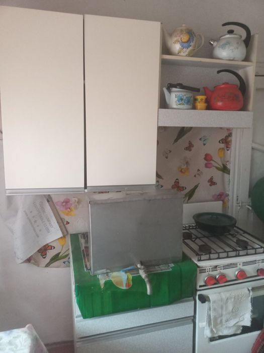 Продам будинок с. Флорине