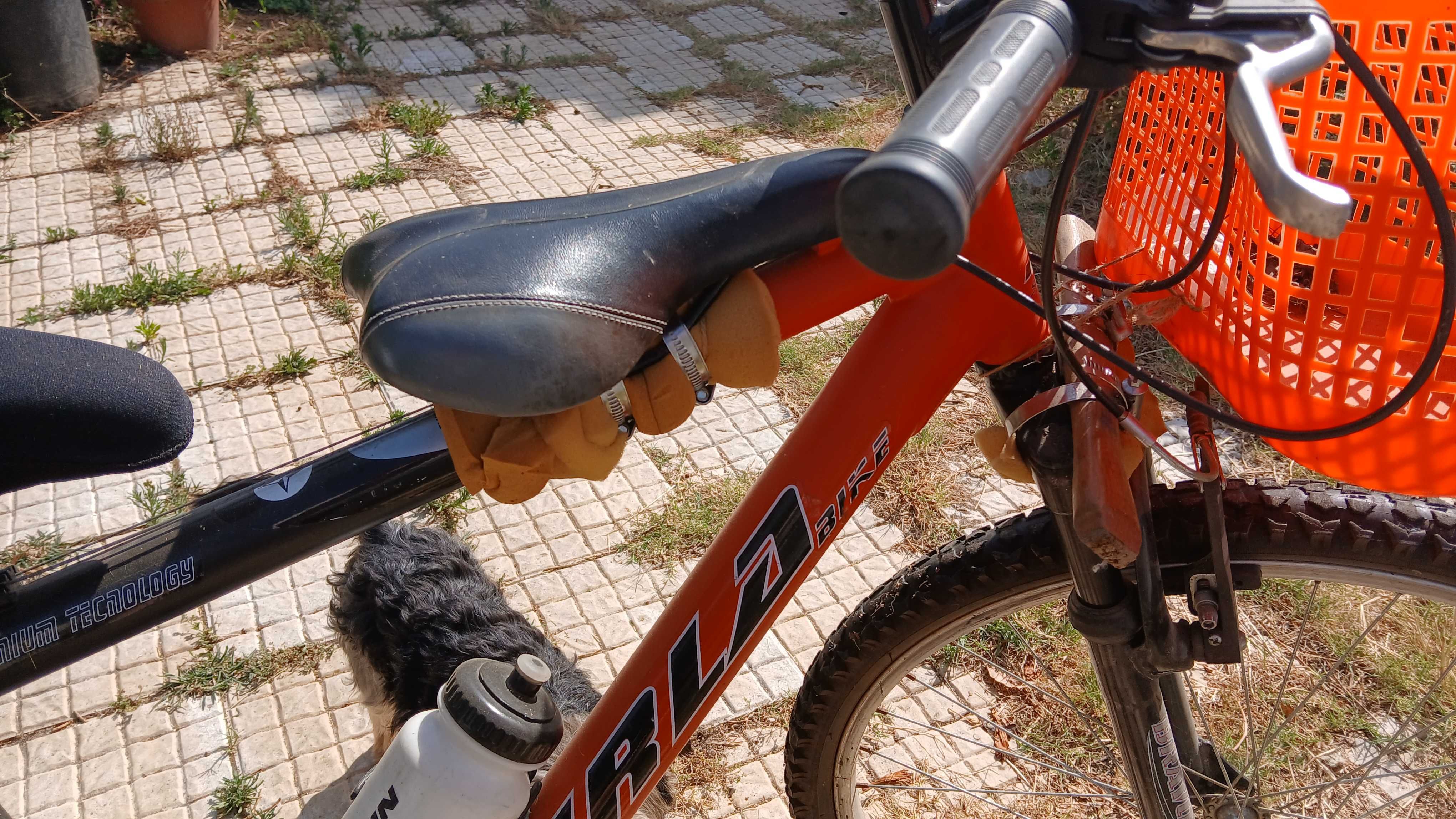 Bicicleta roda 24 encontra-se na Chamusca